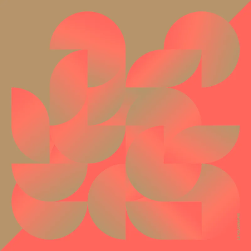 Le Polographe — compositions — visuel 11 sur 12
