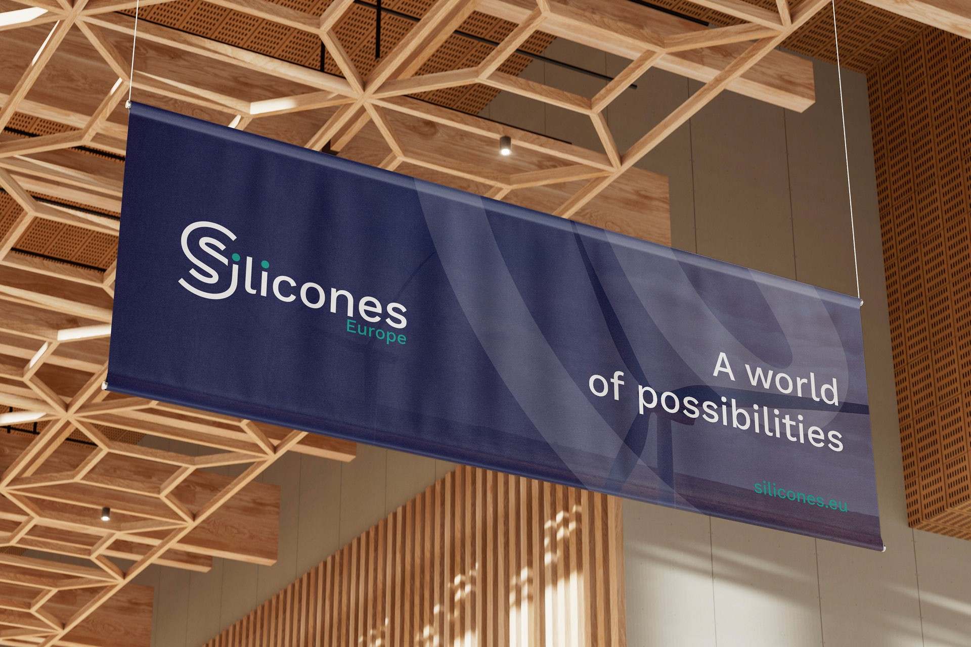 Silicones Europe — visuel 1 sur 4