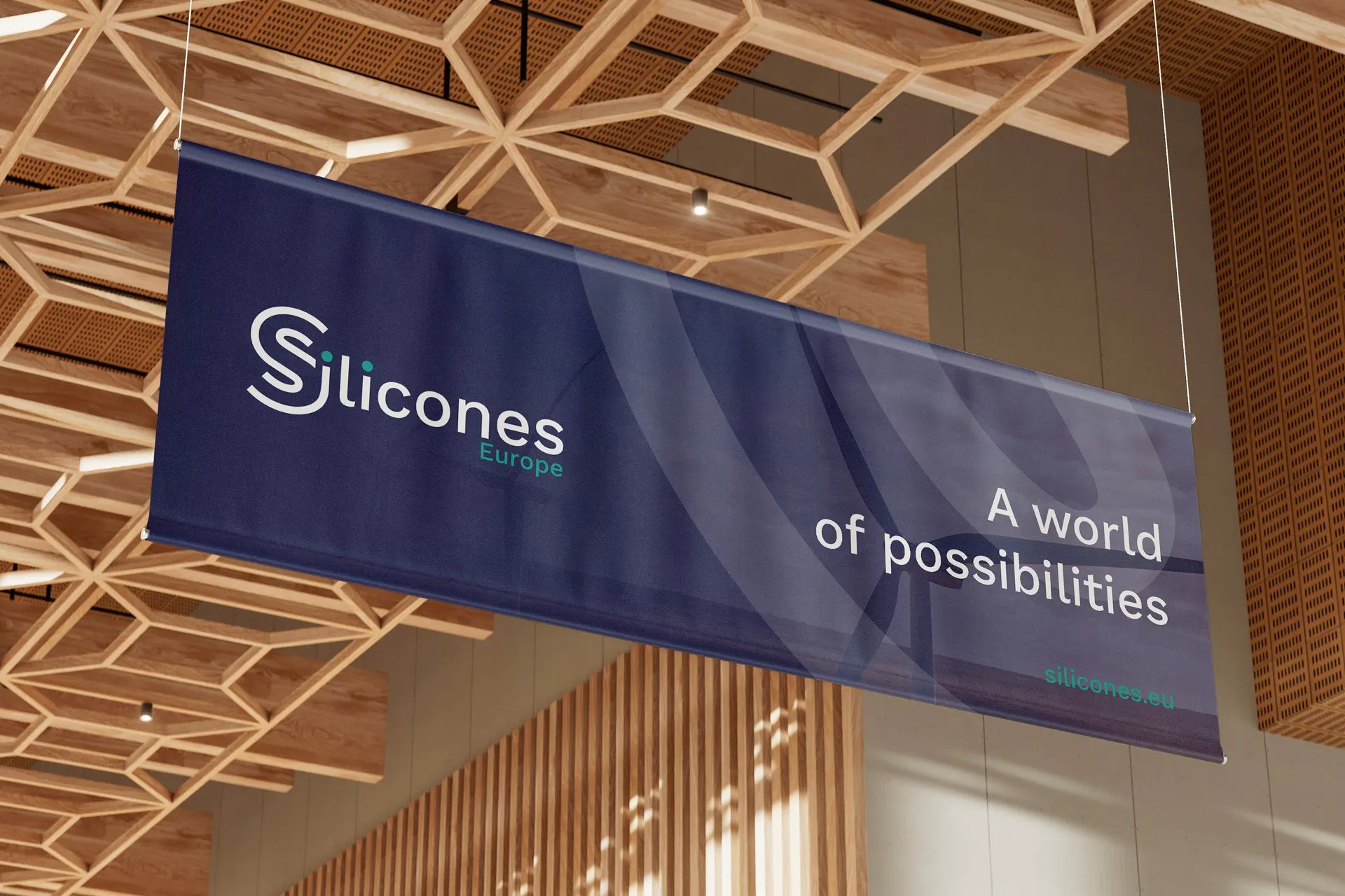 Silicones Europe — visuel 1 sur 4