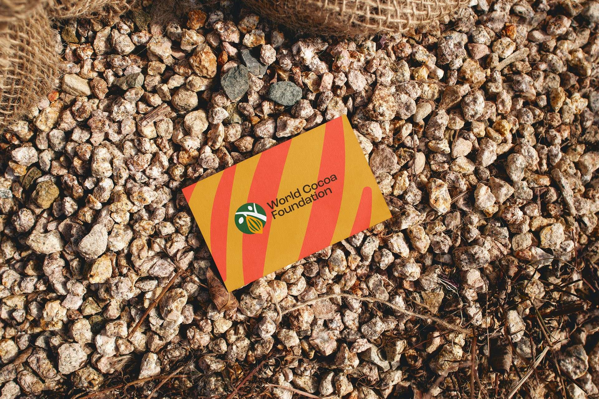 World Cocoa Foundation — visuel 1 sur 4