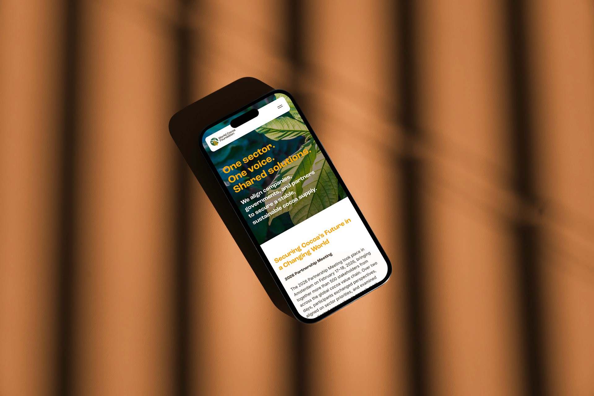 World Cocoa Foundation — visuel 2 sur 4